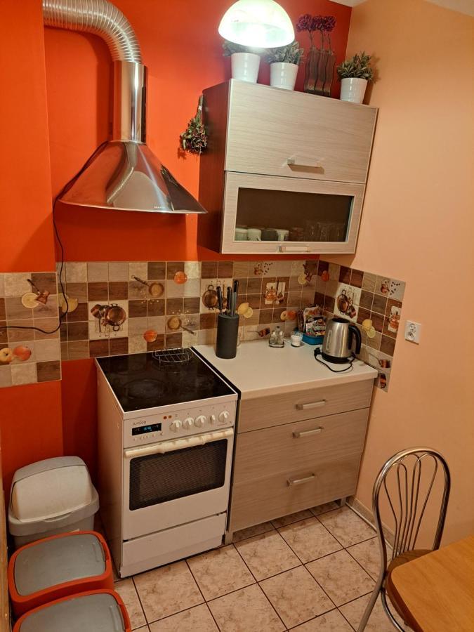 Wiking Apartment Szklarska Poreba Bagian luar foto