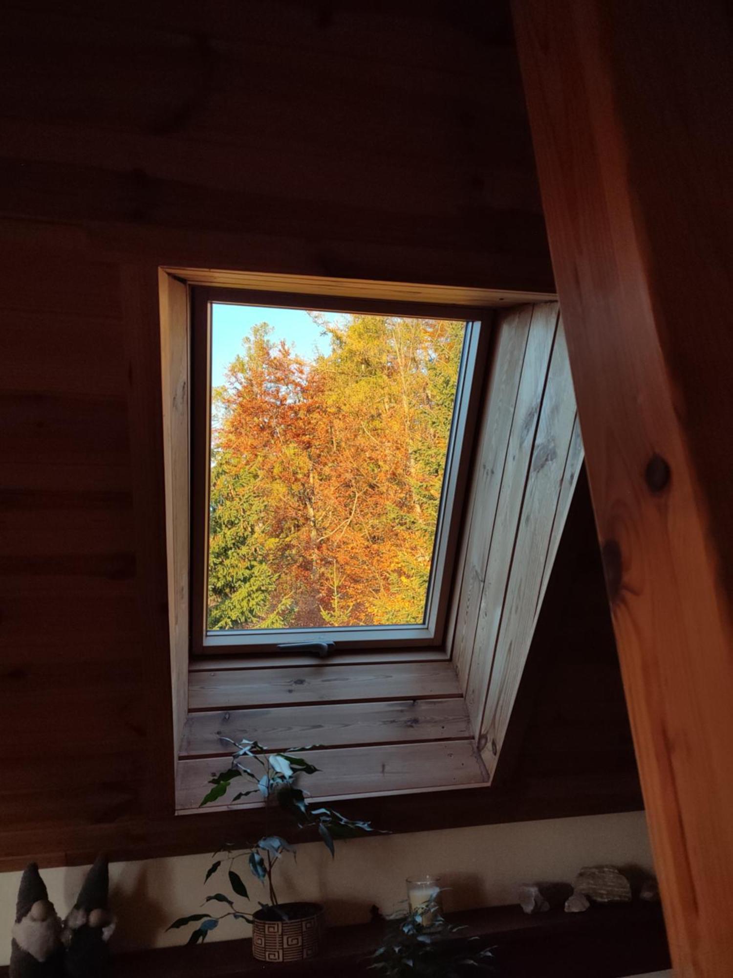 Wiking Apartment Szklarska Poreba Bagian luar foto