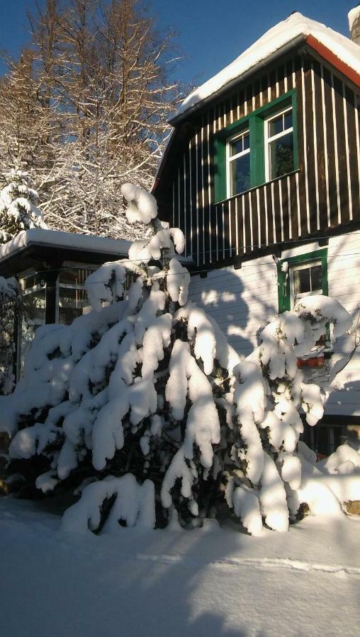 Wiking Apartment Szklarska Poreba Bagian luar foto